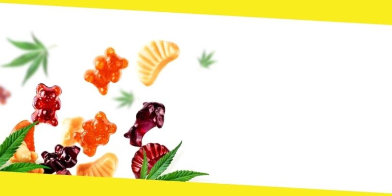 Things to Check Before Buying CBD Gummies