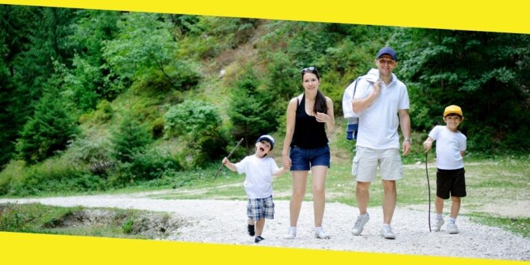 Tips to Make Your Forest Travel Tour Successful