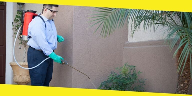 How to Keep Your Homes Safe and Secure from Pest in Boise?