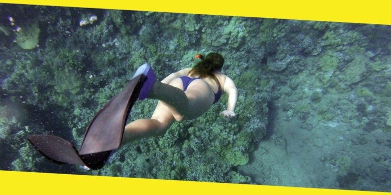 What You Can Expect to See While Snorkelling the Galapagos Islands