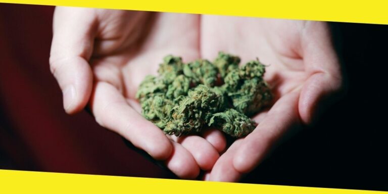 Best Edibles and Weed Strains in DC