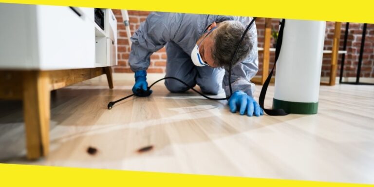 Why You Need Pest Control Services