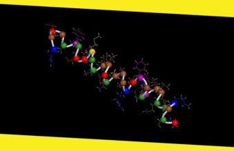 Understanding the Role of Peptide Hydrogels in Cancer Progression