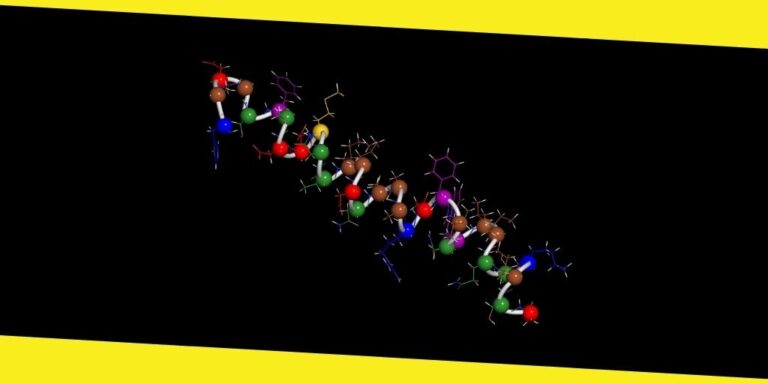 Understanding the Role of Peptide Hydrogels in Cancer Progression