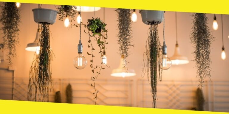 Things to Consider When Doing Outdoor Lighting