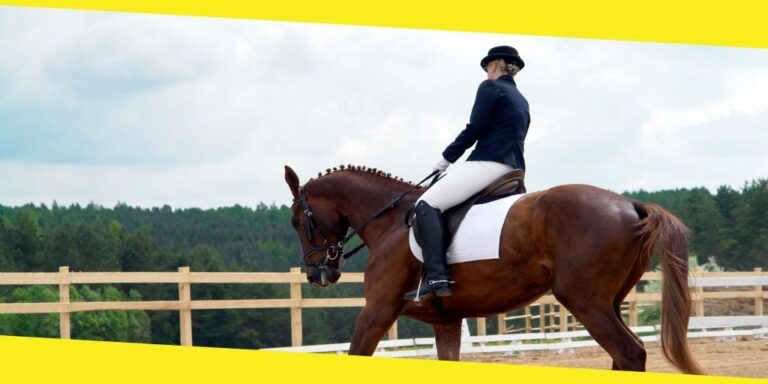 An Inside Look Into Olympic Horse Riding