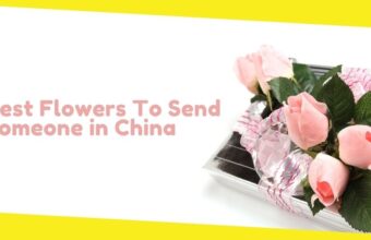 Best Flowers To Send Someone in China