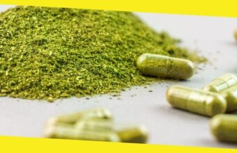 Things You Must Know About Kratom