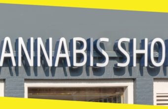 7 Tips on Choosing Online Cannabis Shops for New Users