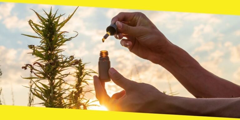 What Are the Benefits of CBD Oil?