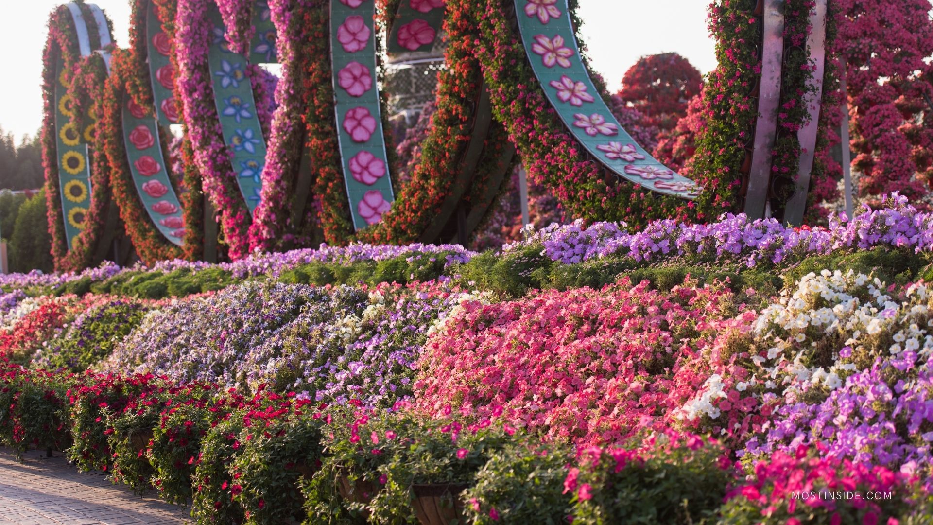 Miracle Garden in Dubai