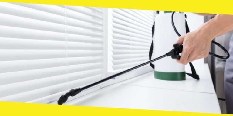 Top Five Benefits of Pest Control Services