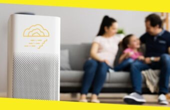 Do Air Purifiers Make a Difference in Treating Allergies?