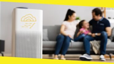 Do Air Purifiers Make a Difference in Treating Allergies?