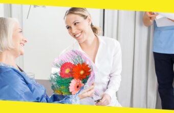 6 Flowers to Give Someone to Wish Them Speedy Recovery