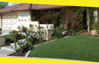 What Are the Benefits of Having a Healthy Lawn?