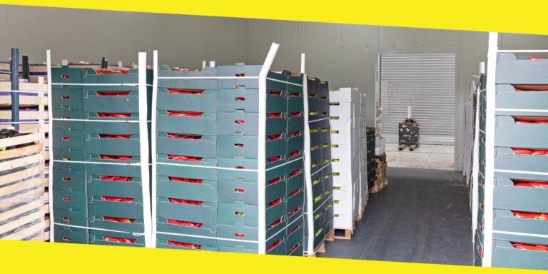 Why Correct Food Storage Is Essential