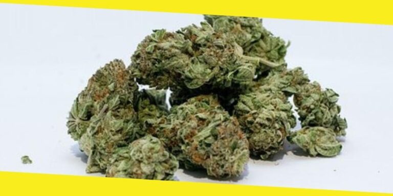 Benefits that 1 LB of Weed Can Provide