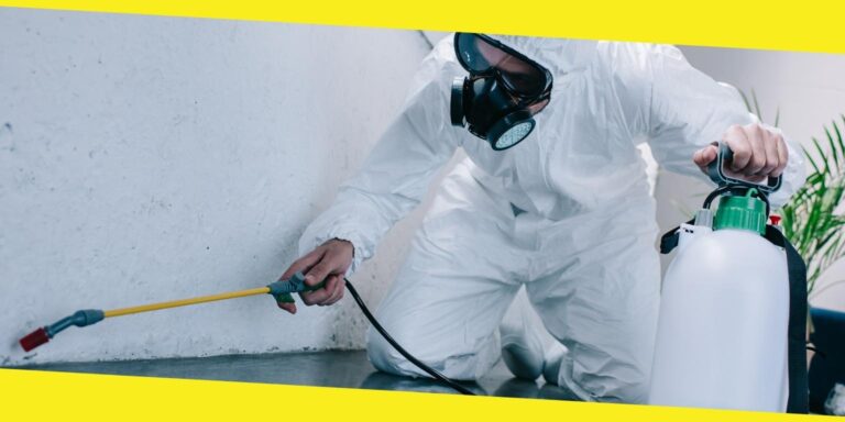 Top 5 Dangerous Pests to Watch Out For in St. George Utah