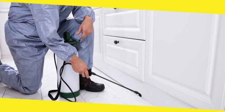 What Are the Services Provide by Professional? 
