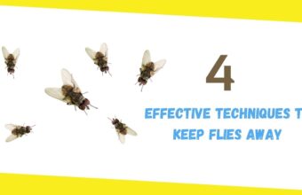 4 Effective Techniques To Keep Flies Away