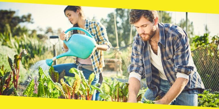 Organic Farming vs Conventional Farming