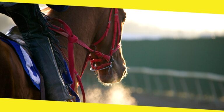 Why Betting Online on Horse Racing is Better Than Betting on Tracks?
