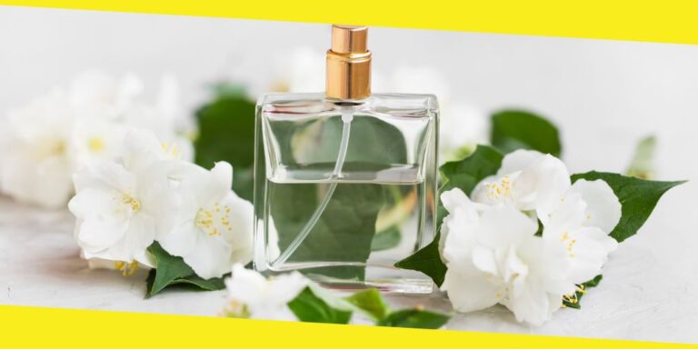 Premium Perfumes at Less Price