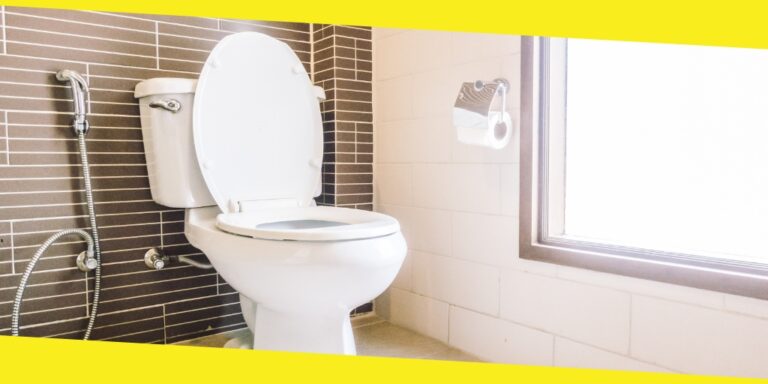 How to Fix a Leaky Toilet Flapper