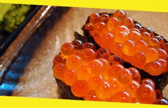 5 Best Homemade Healthy Salmon Roe Caviar Recipe