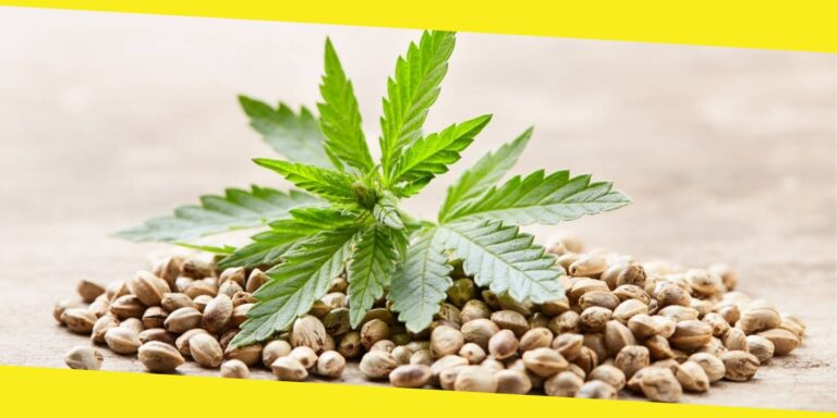 How Much Should a Weed Seed Sell for?