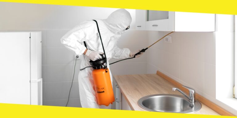 Rodent Removal Pest Control in Eau Claire, WI: A Complete Guide