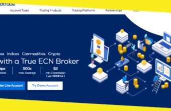 Hankotrade Broker: Is It Worth Signing Up with Hankotrade?