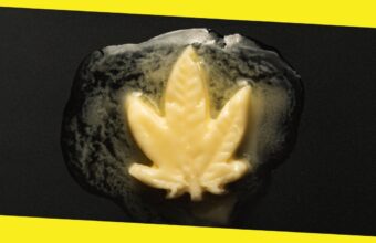 Unleashing the Power of Cannabis-Infused Butter: The Science Behind Its Psychoactive Effects