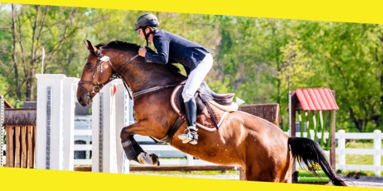 Navigating the Course: Alec Lawler’s Proven Strategies for Show Jumping Success