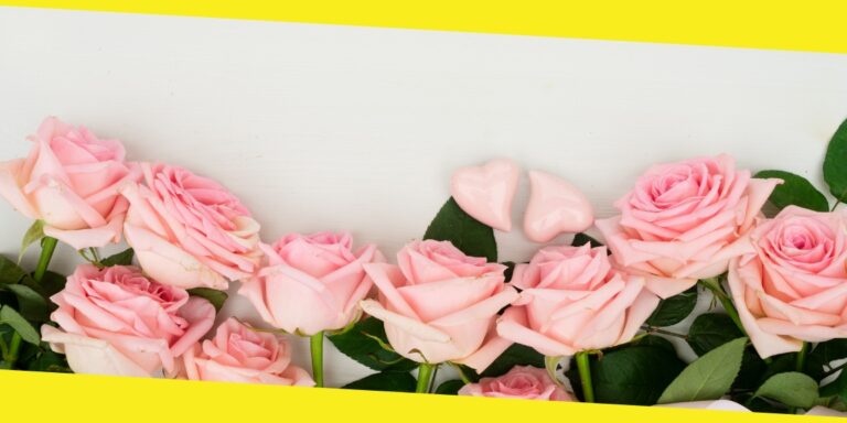 The Secret to Keeping Wholesale Roses Fresh for Longer