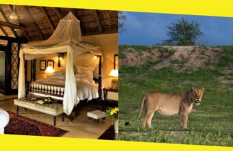 The Top 10 Luxury Lodges in the Greater Kruger Park