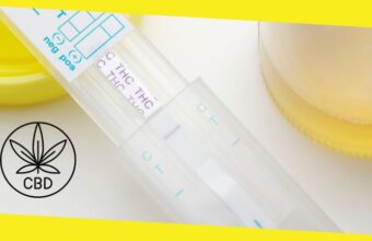 CBD and Drug Tests: How to Pass A Drug Test Even After Taking CBD