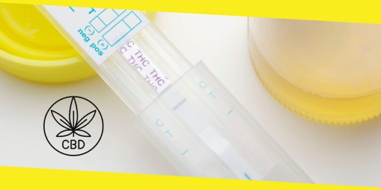 CBD and Drug Tests: How to Pass A Drug Test Even After Taking CBD