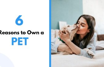 6 Reasons to Own a Pet