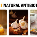 10 Best Natural Antibiotics With Amazing Healing Properties