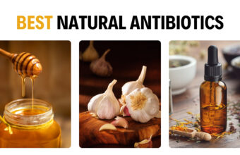 10 Best Natural Antibiotics With Amazing Healing Properties