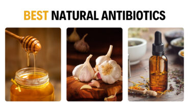 10 Best Natural Antibiotics With Amazing Healing Properties