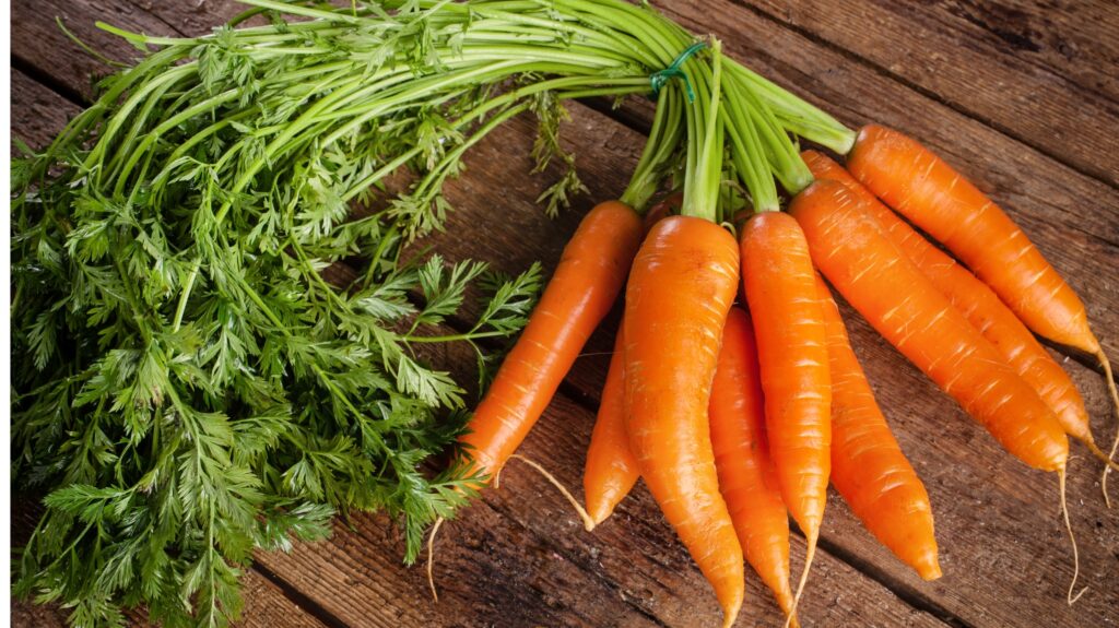 Bunch of carrots.