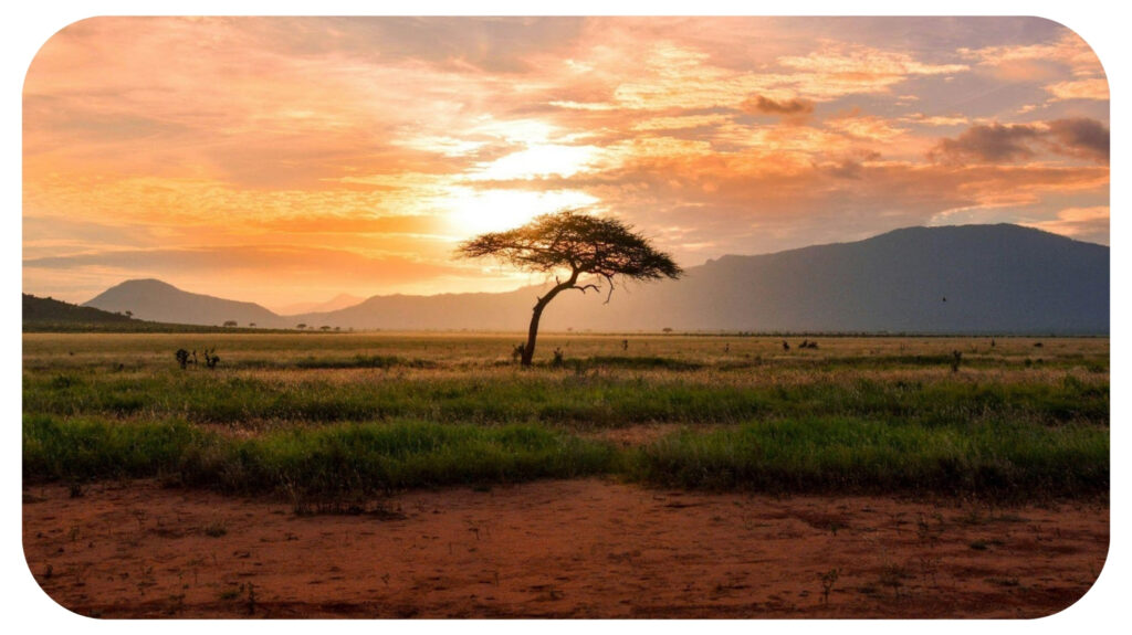 Africa sunset.