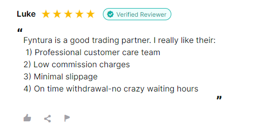 Fyntura Customer Reviews