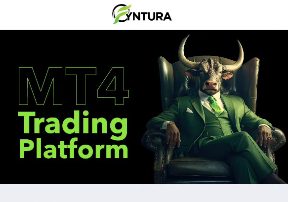 Fyntura MT4 Trading Platform