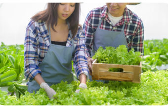 From Mizzou to the Farm: Meg Miller Discusses How Student Experiences Shape Agricultural Futures