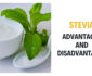 Advantages and Disadvantages of Consuming Stevia