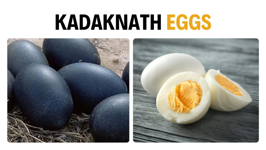 Kadaknath Eggs